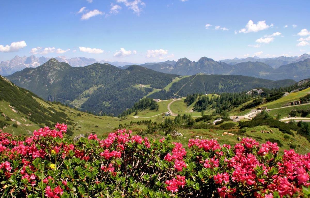 Vorderwiesgut Altenmarkt im Pongau Zewnętrze zdjęcie