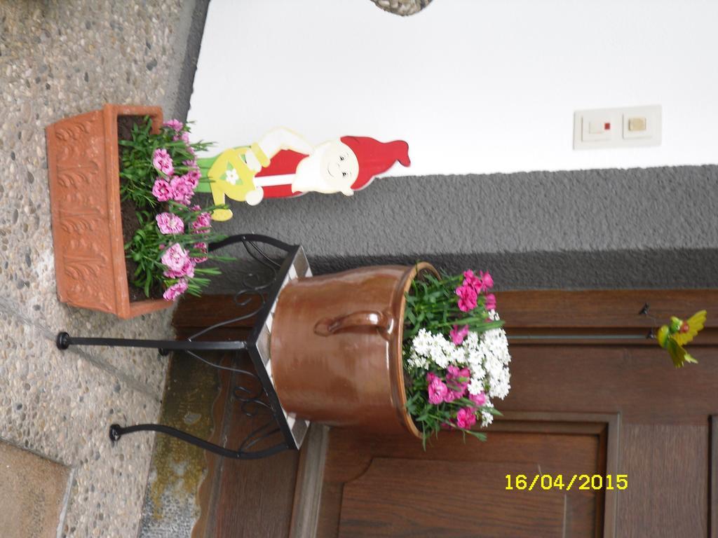 Vorderwiesgut Altenmarkt im Pongau Zewnętrze zdjęcie