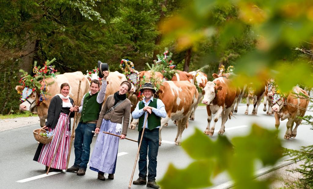 Vorderwiesgut Altenmarkt im Pongau Zewnętrze zdjęcie
