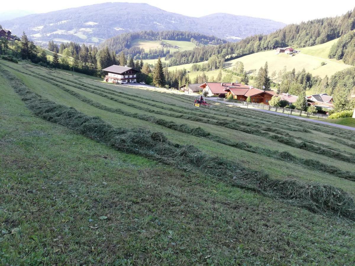 Vorderwiesgut Altenmarkt im Pongau Zewnętrze zdjęcie