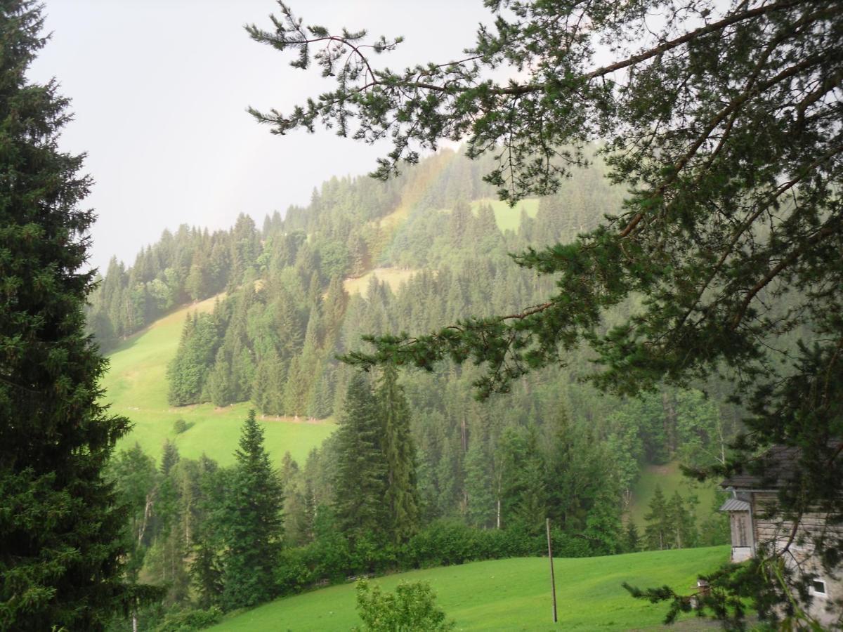 Vorderwiesgut Altenmarkt im Pongau Zewnętrze zdjęcie
